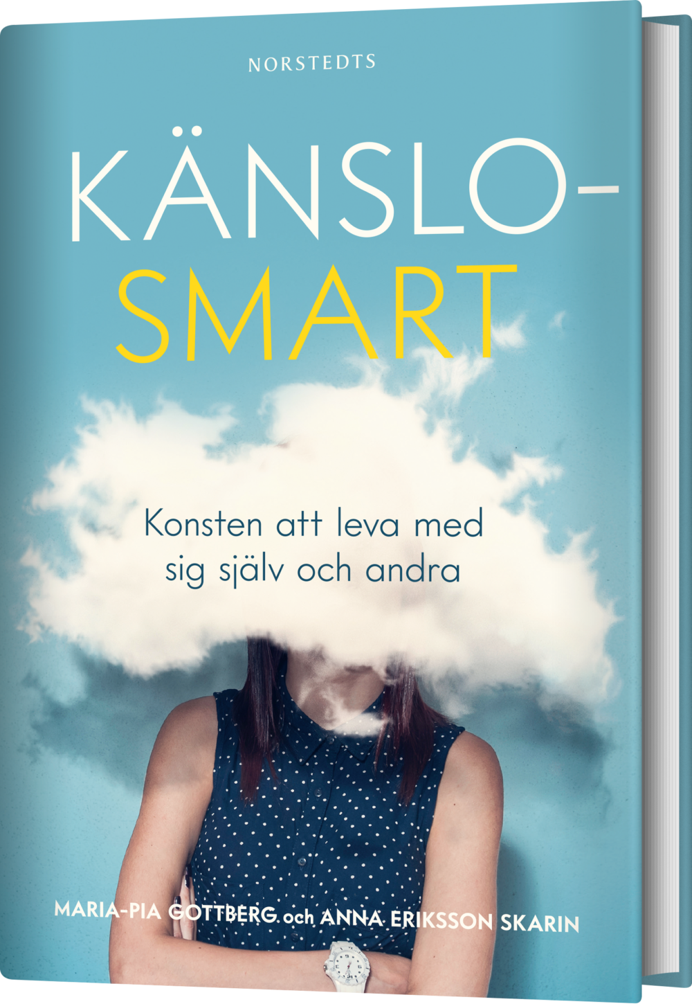 Omslag_Kanslosmart_3D